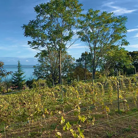 Dom wakacyjny Casa Mido Badacsony Badacsonytomaj