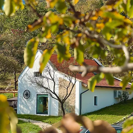 Casa Mido Badacsony Σπίτι διακοπών Badacsonytomaj