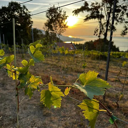 Casa Mido Badacsony * Badacsonytomaj